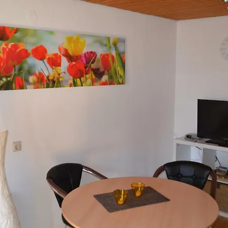 Schonbrunn Guest house *